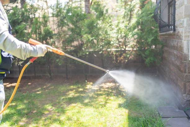 Best Residential Pest Control  in Thorndale, PA