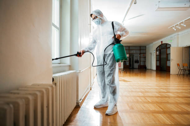 Best Termite Control Services  in Thorndale, PA